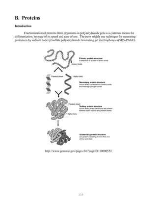 339
B. Proteins
Introduction
Fractionization of proteins from organisms in polyacrylamide gels is a common means for
differentiation, because of its speed and ease of use. The most widely use technique for separating
proteins is by sodium dodecyl sulfate polyacrylamide denaturing gel electrophoresis (SDS-PAGE).
http://www.genome.gov/page.cfm?pageID=10000552
 