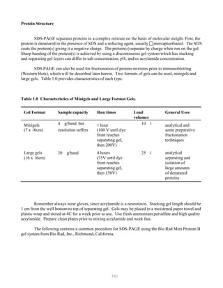 341
Protein Structure
SDS-PAGE separates proteins in a complex mixture on the basis of molecular weight. First, the
protein is denatured in the presence of SDS and a reducing agent, usually -mercaptoethanol. The SDS
coats the protein(s) giving it a negative charge. The protein(s) separate by charge when run on the gel.
Sharp banding of the protein(s) is achieved by using a discontinuous gel system which has stacking
and separating gel layers can differ in salt concentration, pH, and/or acrylamide concentration.
SDS PAGE can also be used for fractionation of protein mixtures prior to immunoblotting
(Western blots), which will be described later herein. Two formats of gels can be used, minigels and
large gels. Table 1.0 provides characteristics of each type.
Table 1.0 Characteristics of Minigels and Large Format Gels.
Gel Format Sample capacity Run times Load
volumes
General Uses
Minigels 4 g/band, but 1 hour 10 l analytical and
(7 x 10cm) resolution suffers (100 V until dye some preparative
front reaches fractionation
separating gel, techniques
then 200V)
Large gels 20 g/band 4 hours 25 l analytical
(16 x 16cm) (75V until dye
front reaches
separating and
isolation of
separating gel, large amounts
then 150V) of denatured
proteins
Remember always wear gloves, since acrylamide is a neurotoxin. Stacking gel length should be
1 cm from the well bottom to top of separating gel. Gels may be placed in a moistened paper towel and
plastic wrap and stored at 4C for a week prior to use. Use fresh ammonium persulfate and high quality
acrylamide. Prepare clean plates prior to mixing acrylamide and work fast.
The following contains a common procedure for SDS-PAGE using the Bio Rad Mini Protean II
gel system from Bio Rad, Inc., Richmond, California.
 