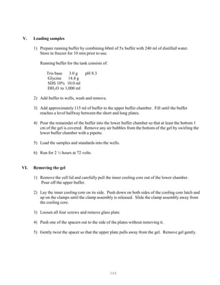 344
V. Loading samples
1) Prepare running buffer by combining 60ml of 5x buffer with 240 ml of distilled water.
Store in freezer for 10 min prior to use.
Running buffer for the tank consists of:
Tris base 3.0 g pH 8.3
Glycine 14.4 g
SDS 10% 10.0 ml
DHB
2BO to 1,000 ml
2) Add buffer to wells, wash and remove.
3) Add approximately 115 ml of buffer to the upper buffer chamber. Fill until the buffer
reaches a level halfway between the short and long plates.
4) Pour the remainder of the buffer into the lower buffer chamber so that at least the bottom 1
cm of the gel is covered. Remove any air bubbles from the bottom of the gel by swirling the
lower buffer chamber with a pipette.
5) Load the samples and standards into the wells.
6) Run for 2 ½ hours at 72 volts.
VI. Removing the gel
1) Remove the cell lid and carefully pull the inner cooling core out of the lower chamber.
Pour off the upper buffer.
2) Lay the inner cooling core on its side. Push down on both sides of the cooling core latch and
up on the clamps until the clamp assembly is released. Slide the clamp assembly away from
the cooling core.
3) Loosen all four screws and remove glass plate.
4) Push one of the spacers out to the side of the plates without removing it.
5) Gently twist the spacer so that the upper plate pulls away from the gel. Remove gel gently.
 