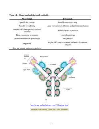 347
Table 1.1. Monoclonal vs Polyclonal Antibodies.
Monoclonals Polyclonals
Specific for epitope Possible cross-reactivity
Possible low affinity Large population of affinities and epitope specificities
May be difficult to produce desired
antibody
Relatively fast to produce
Time-consuming to produce Limited quantities
Quantities theoretically unlimited Inexpensive
Expensive
Maybe difficult to reproduce antibodies from some
antigens
Can use impure antigens to produce
http://www.garlandscience.com/ECB/about.html
Published by Garland Publishing, a member of the Taylor & Francis Group.
 