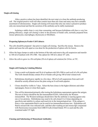 362
P
P
Single-cell cloning
After a positive culture has been identified, the next step is to clone the antibody-producing
cell. The original positive well will often contain more than one clone and many may have unstable
assortment of chromosomes. Single-cell cloning will insure that only one clone is present to produce
only one monoclonal and that the secretion of the antibody can be stably maintained.
Isolating a stable clone is very time consuming, and because hybridoma cells have a very low
plating efficiency, single cell cloning is done in the presence of feeder cells, normally prepared from
mouse splenocytes, macrophages, thymocytes or fibroblasts.
Preparing Splenocyte Feeder Cell Cultures
1. The cells should be prepared 1 day prior to single-cell cloning. Sacrifice the mouse. Remove the
spleen and tease the cells apart as was done for the production of spleen cells for fusion.
2. Allow the large clumps to settle to the bottom of the tube and remove the cell suspension and transfer
to 100 ml of medium with 10% FBS. One spleen for 100 ml is about 108
cells.
3. Allow the cells to grow in a 96-well plate (50 ul of spleen cell solution) for 24 hrs. at 37C.
Single-cell Cloning by Limiting Dilution
1. Using a multi-well pipetter and 50 ul of medium with 20% FBS to each well of a 96 well plate.
The wells should already contain 50 ul of feeder cells giving 100 ul total volume/well.
2. Hybridomas should grow rapidly in a few days, 100 ul of cell suspensions from each well
should be serially diluted across the plate using an 8-well multi-pipetter.
3. Clones should be visible in 7 days. Select the best clones in the higher dilutions and either
repropagate, freeze or clone them again.
4. This will be determined primarily after testing the hybridoma supernatants against the antigen.
The test of choice should be the dot immunoblott ELISA, followed by the Western
immunoblott. The Western technique should show that the antibody is reacting against only
one or two proteins. Hybridomas may need to be sub-cloned 2 to 4 times depending on
specificity and stability in culture and reactivity in the immunological test. If the antigen is
from a virus supernatant fluid it can be used in an immunofluorescence test. Hybridoma cell
fluid is mixed with virus infected cells, and then after washing an anti-mouse IgG conjuncted
with fluorescence isocyanate from GIBCO Labs (Grand Island, NY) is used and the cells
examined under UV light.
Classing and Subclassing of Monoclonal Antibodies
 