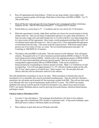 44
P P
6. Pour off supernatant and clean kidneys. If there are any large chunks, mince lightly with
scissors or squeeze gently with forceps. Wash three to four times with PBS or HBSS. Use 75-
100 ml PBS total.
7. Drain off the last wash and pour the tissue fragments into a trypsinization flask containing a
magnetic stir bar. Add 50-100 ml prewarmed (37 C) trypsin-EDTA solution.
8. Put the flask on a stirrer base in 37 C incubator and stir very slowly for 15-20 minutes.
9. When the supernatant is cloudy, shake flask, and then set it down for several minutes to let the
clumps settle out. Take out one drop of supernatant and put it on a glass slide and observe. If
there are many single cells and small clumps (two to 10 cells) with few very large clumps then
it is time to pour off the supernatant. Have ready a sterile graduated centrifuge tube with 5 ml
of cold heat-inactivated calf serum in it. (Set in a pan of ice.) Pour supernatant through gauze
covered funnel into this tube. (The serum stops the trypsin action). With fresh trypsin repeat
process one to two times (10 min. ea.) more. Do not extend trypsinization time past 1 hr.
Centrifuge at 1000 RPM for 10 minutes.
10. The kidney cells (and RBC's) will pellet. Note the amount of cells obtained. Pour off trypsin
solution. Resuspend cells in 3-5 mls of minimal essential medium (MEM) or Hams F-10 with
Earl's balanced salt solution (EBSS). Add the cells to the appropriate amount of MEM (EBSS)
with 10% heat-inactivated fetal calf serum (growth media). One ml of cell pack can be
resuspended in approximately 200 ml of MEM (EBSS). Cells can be counted in a
hemocytometer by resuspending in a known amount of media. Make 1 to 10 dilutions of cells
in trypan blue. You will want approximately 2.5 x 106
cells/ml of media to plate out the cells.
2 2
The 35 mmP
P
plates require 2 ml and 60 mm P
P
plates require 5 ml. Do one plate first and
observe after the cells are allowed to settle for a few minutes.
The cells should form a monolayer in one to two days. When monolayer is formed, they may be
inoculated or if it is desirable, they may be inoculated simultaneously. After the cells have formed a
monolayer, the old media can be poured off, the monolayer washed with PBS. The cells are then ready
to be infected with virus or given maintenance media with 0-3% serum. The CEKS's are mainly
epithelial cells and are used for growth of infectious bronchitis virus, adenoviruses and reoviruses.
CEFC's are mainly fibroblasts and are used for growing Newcastle disease, infectious bursal disease,
and herpes viruses.
Chicken Embryo Fibroblast (CEF)
1. Use nine-11 day old embryos. The technique described here is for three to five embryos.
Spray eggs with a disinfectant (70% alcohol is commonly used). Using sterile technique, open
shell and remove embryo with blunt ended curved forceps.
2. Place embryos in petri dish and cut off heads and limbs.
 