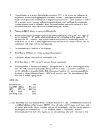 45
3. Transfer bodies to new petri dish or beaker containing PBS. In the beaker, the bodies can be
fragmented by carefully chopping them with sterile scissors. Another procedure that can be
used when large number of embryos is to be processed is as follows: attach a cannula to a 35 or
50 cc syringe, remove plunger, and pour tissue chunks into barrel and force through cannula
with the plunger into a 30 ml beaker. Keep the cannula and syringe sterile and use it to draw
off supernatant from above settled tissue chunks during PBS washes.
4. Wash with PBS 3-4 times to remove red blood cells.
5. Pour tissue fragments into trypsinization flask containing magnetic stirring bar. Add about 50
ml pre-warmed (37 C) trypsin solution to flask and put on stir plate at slow speed on 37 C
incubator for 10-15 minutes. Stop trypsinization by adding 1ml calf serum or by placing the
flask on ice for 3-5 min. Another trypsinization may be done on the clumps of tissues after the
supernatant with single cells has been decanted.
6. Strain cells through two folds of sterile gauge.
7. Centrifuge at 1000 rpm for 10 min and discard supernatant.
8. Add fresh PBS and vortex to wash and suspend cells.
9. Centrifuge again at 1000 rpm for 10 min and discard supernatant.
10. Note the amount of pelleted cells obtained. Resuspend cells in 1X MEM containing glutamine
and 10% FBS. One ml of cells can be diluted in 80 ml of media. Cells can be plated into 5, 25
or 100 ml flasks, or in a roller bottle. Lids of containers kept in a COB
2B atmosphere need to be
loosened to allow exchanges of gases. CEFC's will grow in a non- COB
2B atmosphere and their
lids need to be kept tightly closed.
MEM (1X)
Glutamine 5ml 5ml
NaHCO3 14.65ml 14.64ml
H2O 375.35ml 410.35ml
FBS 50ml 50ml
Pen-Strep 10ml 10ml
NOTE: Secondary cells may be made from a confluent monolayer of CEF. Dilute trypsin solution 1:2
with Hank's Balanced Salt Solution (HBSS). Pour off media on CEF plates, wash plates with 1
ml trypsin solution (for 60 mm size dish) and pour off immediately. Add 2 ml trypsin solution
to each plate and incubate in 37 C COB
2B incubator for two to five minutes. Remove
trypsinized cells from dish with a pipette and put into centrifuge tube with 1 ml serum to stop
 