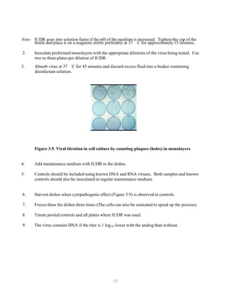 52
Note: IUDR goes into solution faster if the pH of the medium is increased. Tighten the cap of the
bottle and place it on a magnetic stirrer preferably at 37 C for approximately 15 minutes.
2. Inoculate preformed monolayers with the appropriate dilutions of the virus being tested. Use
two to three plates per dilution of IUDR.
3. Absorb virus at 37 C for 45 minutes and discard excess fluid into a beaker containing
disinfectant solution.
Figure 3.9. Viral titration in cell culture by counting plaques (holes) in monolayers
4. Add maintenance medium with IUDR to the dishes.
5. Controls should be included using known DNA and RNA viruses. Both samples and known
controls should also be inoculated in regular maintenance medium.
6. Harvest dishes when cytopathogenic effect (Figure 3.9) is observed in controls.
7. Freeze-thaw the dishes three times (The cells can also be sonicated to speed up the process).
8. Titrate pooled controls and all plates where IUDR was used.
9. The virus contains DNA if the titer is 1 logB
10B lower with the analog than without.
 