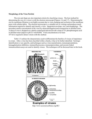 54
P P
Morphology of the Virus Particle
The size and shape are also important criteria for classifying viruses. The best method for
determining the size of a virion is with the electron microscope (Figures 3.6 and 3.7). Determining the
size by membrane filtration is not highly accurate due to virus clumping and occlusion of the membrane
pores with cellular debris. The electron microscope is a valuable tool in virology and produces much
information required to identify and classify a virus: lipoprotein envelope, size, and morphology. The
procedure entails concentration of the virus by ultracentrifugation and resuspension in distilled water.
A drop of virus is dropped on a plastic-coated grid and mixed with a drop of 2% phosphotungstic acid
in distilled water (adjust to pH 6.5 with KOH). Viral concentrations of at least
106
/ml is required to detect virions with this method.
Table 3.3 outlines the characteristics used to differentiate the families of viruses of importance
to avians. After a virus has been classified within a family, it has to be further identified. Serologic
identification is very specific, and techniques such as virus-neutralization, immunoprecipitation,
hemagglutination-inhibition, immunofluorescence, immunoperoxidase, and enzyme-linked
immunosorbent assays are used to identify viruses. The techniques will be discussed later in this book.
http://www.accessexcellence.org/RC/
 