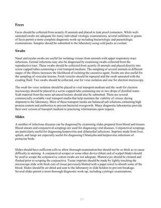 57
Feces
Feces should be collected from acutely ill animals and placed in leak proof containers. While well-
saturated swabs are adequate for many individual virologic examinations, several milliliters or grams
of feces permit a more complete diagnostic work-up including bacteriologic and parasitologic
examinations. Samples should be submitted to the laboratory using cold packs as coolant.
Swabs
Nasal and ocular swabs are useful for isolating viruses from animals with upper respiratory-tract
infections. Genital infections may also be diagnosed by examining swabs collected from the
reproductive tract. These swabs should be collected from acutely ill animals and placed directly into
screw-capped tubes containing a viral transport medium. The sampling of several animals in different
stages of the illness increases the likelihood of isolating the causative agent. Swabs are also useful for
the sampling of vesicular lesions. Fresh vesicles should be ruptured and the swab saturated with the
exuding fluid. Two swabs should be collected, one for virus isolation and one for electron microscopy.
The swab for virus isolation should be placed in viral transport medium and the swab for electron
microscopy should be placed in a screw-capped tube containing one or two drops of distilled water.
Scab material from the more advanced lesions should also be submitted. There are several
commercially available viral transport media that help maintain the viability of viruses during
shipment to the laboratory. Most of these transport media are balanced salt solutions containing high
protein content and antibiotics to prevent bacterial overgrowth. Many diagnostic laboratories provide
their own version of transport medium to practicing veterinarians upon request.
Slides
A number of infectious diseases can be diagnosed by examining slides prepared from blood and tissues.
Blood smears and conjunctival scrapings are used for diagnosing viral diseases. Conjunctival scrapings
are particularly useful for diagnosing herpesvirus and chlamydial infections. Imprints made from liver,
spleen, and lungs are especially useful for diagnosing Chlamydia and herpesvirus infections of
psittacine birds.
Slides should have sufficient cells to allow thorough examination but should not be so thick as to cause
difficulty in staining. A conjunctival scraper or some other device (blunt end of scalpel blade) should
be used to scrape the conjunctiva; cotton swabs are not adequate. Matted eyes should be cleaned and
flushed prior to scraping the conjunctiva. Tissue imprints should be made by lightly touching the
microscope slide with fresh cuts of tissue previously blotted with a paper towel to absorb some of the
blood. Slides should be air-dried and sent to the laboratory in slide holders to prevent breakage.
Several slides permit a more thorough diagnostic work-up, including cytologic examinations.
 