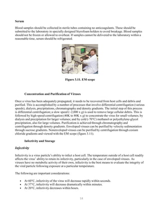 58
Serum
Blood samples should be collected in sterile tubes containing no anticoagulants. These should be
submitted to the laboratory in specially designed Styrofoam holders to avoid breakage. Blood samples
should not be frozen or allowed to overheat. If samples cannot be delivered to the laboratory within a
reasonable time, serum should be refrigerated.
Figure 3.11. EM scope
Concentration and Purification of Viruses
Once a virus has been adequately propagated, it needs to be recovered from host cells and debris and
purified. This is accomplished by a number of processes that involve differential centrifugation (various
speeds), dialysis, precipitations, chromatography and density gradients. The initial step of this process
is differential centrifugation; a slow speed (~2,000 x g) is used to remove large cellular debris. This is
followed by high-speed centrifugation (40K to 80K x g) to concentrate the virus for small volumes; by
dialysis and precipitation for larger volumes; and by cold (-70°C) methanol or polyethylene-glycol
precipitation, also for large volumes. Purification is achieved through chromatography and
centrifugation through density gradients. Enveloped viruses can be purified by velocity sedimentation
through sucrose gradients. Nonenveloped viruses can be purified by centrifugation through cesium
chloride gradients and viewed with the EM scope (figure 3.11).
Infectivity and Storage
Infectivity
Infectivity is a virus particle’s ability to infect a host cell. The temperature outside of a host cell readily
affects the virus’ ability to retain its infectivity, particularly in the case of enveloped viruses. As
viruses have no metabolic activity of their own, infectivity is the best means to evaluate the integrity of
the viral particle following exposure at a particular temperature.
The following are important considerations:
• At 60°C, infectivity of the virus will decrease rapidly within seconds.
• At 37°C, infectivity will decrease dramatically within minutes.
• At 20°C, infectivity decreases within hours.
 