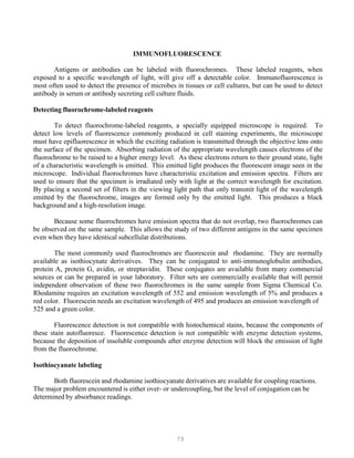 79
IMMUNOFLUORESCENCE
Antigens or antibodies can be labeled with fluorochromes. These labeled reagents, when
exposed to a specific wavelength of light, will give off a detectable color. Immunofluorescence is
most often used to detect the presence of microbes in tissues or cell cultures, but can be used to detect
antibody in serum or antibody secreting cell culture fluids.
Detecting fluorochrome-labeled reagents
To detect fluorochrome-labeled reagents, a specially equipped microscope is required. To
detect low levels of fluorescence commonly produced in cell staining experiments, the microscope
must have epifluorescence in which the exciting radiation is transmitted through the objective lens onto
the surface of the specimen. Absorbing radiation of the appropriate wavelength causes electrons of the
fluorochrome to be raised to a higher energy level. As these electrons return to their ground state, light
of a characteristic wavelength is emitted. This emitted light produces the fluorescent image seen in the
microscope. Individual fluorochromes have characteristic excitation and emission spectra. Filters are
used to ensure that the specimen is irradiated only with light at the correct wavelength for excitation.
By placing a second set of filters in the viewing light path that only transmit light of the wavelength
emitted by the fluorochrome, images are formed only by the emitted light. This produces a black
background and a high-resolution image.
Because some fluorochromes have emission spectra that do not overlap, two fluorochromes can
be observed on the same sample. This allows the study of two different antigens in the same specimen
even when they have identical subcellular distributions.
The most commonly used fluorochromes are fluorescein and rhodamine. They are normally
available as isothiocynate derivatives. They can be conjugated to anti-immunoglobulin antibodies,
protein A, protein G, avidin, or streptavidin. These conjugates are available from many commercial
sources or can be prepared in your laboratory. Filter sets are commercially available that will permit
independent observation of these two fluorochromes in the same sample from Sigma Chemical Co.
Rhodamine requires an excitation wavelength of 552 and emission wavelength of 5% and produces a
red color. Fluorescein needs an excitation wavelength of 495 and produces an emission wavelength of
525 and a green color.
Fluorescence detection is not compatible with histochemical stains, because the components of
these stain autofluoresce. Fluorescence detection is not compatible with enzyme detection systems,
because the deposition of insoluble compounds after enzyme detection will block the emission of light
from the fluorochrome.
Isothiocyanate labeling
Both fluorescein and rhodamine isothiocyanate derivatives are available for coupling reactions.
The major problem encountered is either over- or undercoupling, but the level of conjugation can be
determined by absorbance readings.
 
