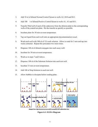 96
3. Add 10 ul of diluted Normal Control Serum to wells A2, H10 and H12.
4. Add 100 l of diluted Positive Control Serum to wells A1, A3 and H11.
5. Transfer 50ul/well of each of the unknowns from the dilution plate to the corresponding
wells of the coated test plate. Do the transfer as quickly as possible.
6. Incubate plate for 30 min at room temperature.
7. Tap out liquid from each well onto an appropriate decontamination vessel.
8. Wash each well with 300 ul of 1X wash solution. Allow to soak for 3 min and tap into
waste container. Repeat this procedure two more times.
9. Dispense 100 ul of diluted conjugate into each assay well.
10. Incubate for 30 min at room temperature.
11. Wash as in steps 7 and 8 above.
12. Dispense 100 ul of the Substrate Solution into each test well.
13. Incubate 15 min at room temperature.
14. Add 100 ul Stop Solution to each test well.
15. Allow bubbles to dissipate before reading plate.
Figure 6.1. ELISA Diagram
 