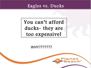 1 
346 
Eagles vs. Ducks 
You can’t afford 
ducks- they are 
too expensive! 
WHY??????? 
 