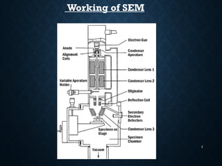 7
Working of SEM
 