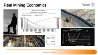 Real Mining Economics
Real Mining Economics 1
 