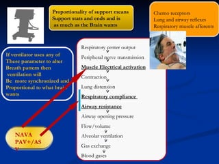 NAVA PAV+/ASV Respiratory center output Peripheral nerve transmission Muscle Electrical activation Contraction Lung distension  Respiratory compliance  Airway resistance Airway opening pressure Flow/volume Alveolar ventilation Gas exchange Blood gases Proportionality of support means Support stats and ends and is as much as the Brain wants  Chemo receptors Lung and airway reflexes Respiratory muscle afferents If ventilator uses any of  These parameter to alter  Breath pattern then  ventilation will  Be  more synchronized and Proportional to what brain  wants  
