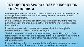 RETEROTRANSPORON BASED INSERTION
POLYMORPHISM
• Retrotransposon-based insertion polymorphism (RBIP) technique is used to
investigate the presence or absence of sequences of retrotransposons
present in the genome.
• In this technique, amplification of DNA is accomplished with the help of a
primer having 3′ and 5′ end regions that are flanking the retrotransposon
insertion site.
• Insertion sequences in retrotransposons are identified through the
development of a primer from the LTR region.
• The information of nucleotide sequences along the flanking region of the
retrotransposon insertion site is required in the RBIP technique, as results It
makes single locus compared to other molecular markers based on
retrotransposons.
• Instead of Agarose Gel electrophoresis it uses Tagged microarray markers,
which are based on fluorescent microarray scoring, for analysis.
 