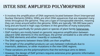 INTER SINE AMPLIFIED POLYMORPHISM
• It involves the amplification of DNA segments located between Short Interspersed
Nuclear Elements (SINEs), SINEs are short DNA sequences that are repeated many
times throughout the genome. They are a type of transposable element, meaning
they can move around within the genome. SINEs are typically 100-300 base pairs
long and are found in high copy numbers in the genomes of many eukaryotes.
• It Designed specifically for potato plant or species of plant family Solanaceae.
• ISAP markers are mostly based on genomic sequence amplification between
adjacent SINE elements In this technique, the primer annealed to a site other than
the SINE elements and either inwardly or outwardly.
• The DNA segments between these SINEs are then amplified.
• The length of the amplified products can vary between individuals due to
insertions, deletions, or other mutations in the inter-SINE regions.
• These variations are the polymorphisms that the technique aims to detect.
• However, the design of ISAP primers requires extensive prior genomic information
 