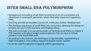INTER SMALL RNA POLYMORPHISM
• Endogenous noncoding small RNAs consisting of 20–24 nucleotides are
ubiquitous in eukaryotic genomes, where they play important regulatory
roles.
• And they provide an excellent source for molecular marker development.
• The flanking sequences of small RNAs are conserved, allowing the design of
primers for use in PCR reactions and fingerprinting.
• The basic principle is to use primer pairs of flanking small RNAs to initiate a
PCR reaction and detect length polymorphisms that are due to InDels
present in the small RNA pool
• According to the authors, the technique is reproducible, representing a
high-throughput, non-coding, sequence-based marker system.
• It can be used for genome mapping and for genotyping.
 