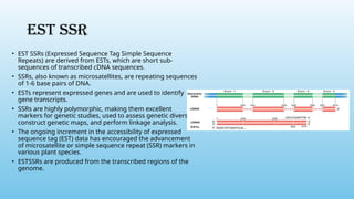 EST SSR
• EST SSRs (Expressed Sequence Tag Simple Sequence
Repeats) are derived from ESTs, which are short sub-
sequences of transcribed cDNA sequences.
• SSRs, also known as microsatellites, are repeating sequences
of 1-6 base pairs of DNA.
• ESTs represent expressed genes and are used to identify
gene transcripts.
• SSRs are highly polymorphic, making them excellent
markers for genetic studies, used to assess genetic diversity,
construct genetic maps, and perform linkage analysis.
• The ongoing increment in the accessibility of expressed
sequence tag (EST) data has encouraged the advancement
of microsatellite or simple sequence repeat (SSR) markers in
various plant species.
• ESTSSRs are produced from the transcribed regions of the
genome.
 