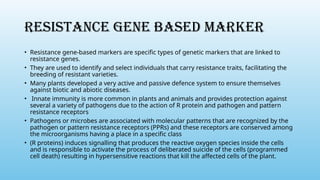 RESISTANCE GENE BASED MARKER
• Resistance gene-based markers are specific types of genetic markers that are linked to
resistance genes.
• They are used to identify and select individuals that carry resistance traits, facilitating the
breeding of resistant varieties.
• Many plants developed a very active and passive defence system to ensure themselves
against biotic and abiotic diseases.
• Innate immunity is more common in plants and animals and provides protection against
several a variety of pathogens due to the action of R protein and pathogen and pattern
resistance receptors
• Pathogens or microbes are associated with molecular patterns that are recognized by the
pathogen or pattern resistance receptors (PPRs) and these receptors are conserved among
the microorganisms having a place in a specific class
• (R proteins) induces signalling that produces the reactive oxygen species inside the cells
and is responsible to activate the process of deliberated suicide of the cells (programmed
cell death) resulting in hypersensitive reactions that kill the affected cells of the plant.
 
