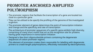 PROMOTER ANCHORED AMPLIFIED
POLYMORPHISM
• The promoter regions that facilitate the transcription of a gene are located too
close to a particular gene
• They can be utilized to be specify the profiling of the genome of the investigated
organism.
• The promoter element of genes determines the point of transcription initiation
and change and the specificity and rate of transcription
• The architecture of promoter sequences of a specific gene exhibits high diversity,
comprising of many short motifs that act as the recognition site for proteins
having great importance in transcription initiation
• Designed a few short oligonucleotide primers containing the degenerate
sequences of cotton promoter regions.
• This element of promoters makes them reasonable for labelling with degenerate
primers to create length polymorphisms, effectively noticeable by electrophoresis.
 