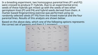 In a breeding experiment, two homozygous parental lines (P1 and P2)
were crossed to produce F1 hybrids. Due to an experimental error,
seeds of these hybrids got mixed up with the seeds of two other
germplasm lines (P3 and P4) and hybrid seeds derived from them. A
marker-based fingerprinting exercise was performed using six
randomly selected seeds (F1-F6) from the mixed material and the four
parental lines. Results of this analysis are shown below:
Based on the above data, which one of the following options represents
the correct set of parents and their F 1 progeny?
 