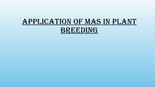 Application of MAS in Plant
Breeding
 