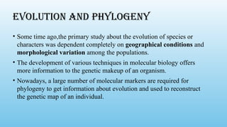Evolution and phylogeny
• Some time ago,the primary study about the evolution of species or
characters was dependent completely on geographical conditions and
morphological variation among the populations.
• The development of various techniques in molecular biology offers
more information to the genetic makeup of an organism.
• Nowadays, a large number of molecular markers are required for
phylogeny to get information about evolution and used to reconstruct
the genetic map of an individual.
 