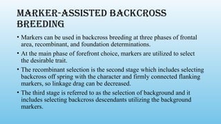 Marker-assisted backcross
breeding
• Markers can be used in backcross breeding at three phases of frontal
area, recombinant, and foundation determinations.
• At the main phase of forefront choice, markers are utilized to select
the desirable trait.
• The recombinant selection is the second stage which includes selecting
backcross off spring with the character and firmly connected flanking
markers, so linkage drag can be decreased.
• The third stage is referred to as the selection of background and it
includes selecting backcross descendants utilizing the background
markers.
 
