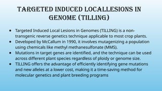 Targeted induced locallesions in
genome (tilling)
● Targeted Induced Local Lesions in Genomes (TILLING) is a non-
transgenic reverse genetics technique applicable to most crop plants.
● Developed by McCallum in 1990, it involves mutagenizing a population
using chemicals like methyl methanesulfonate (MMS).
● Mutations in target genes are identified, and the technique can be used
across different plant species regardless of ploidy or genome size.
● TILLING offers the advantage of efficiently identifying gene mutations
and new alleles at a lower cost, making it a time-saving method for
molecular genetics and plant breeding programs
 