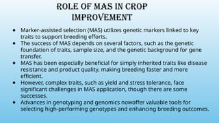 Role of MAS In Crop
Improvement
● Marker-assisted selection (MAS) utilizes genetic markers linked to key
traits to support breeding efforts.
● The success of MAS depends on several factors, such as the genetic
foundation of traits, sample size, and the genetic background for gene
transfer.
● MAS has been especially beneficial for simply inherited traits like disease
resistance and product quality, making breeding faster and more
efficient.
● However, complex traits, such as yield and stress tolerance, face
significant challenges in MAS application, though there are some
successes.
● Advances in genotyping and genomics nowoffer valuable tools for
selecting high-performing genotypes and enhancing breeding outcomes.
 