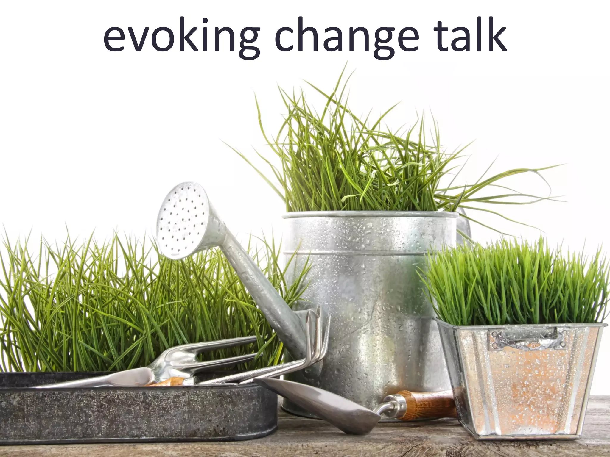 evoking change talk
 