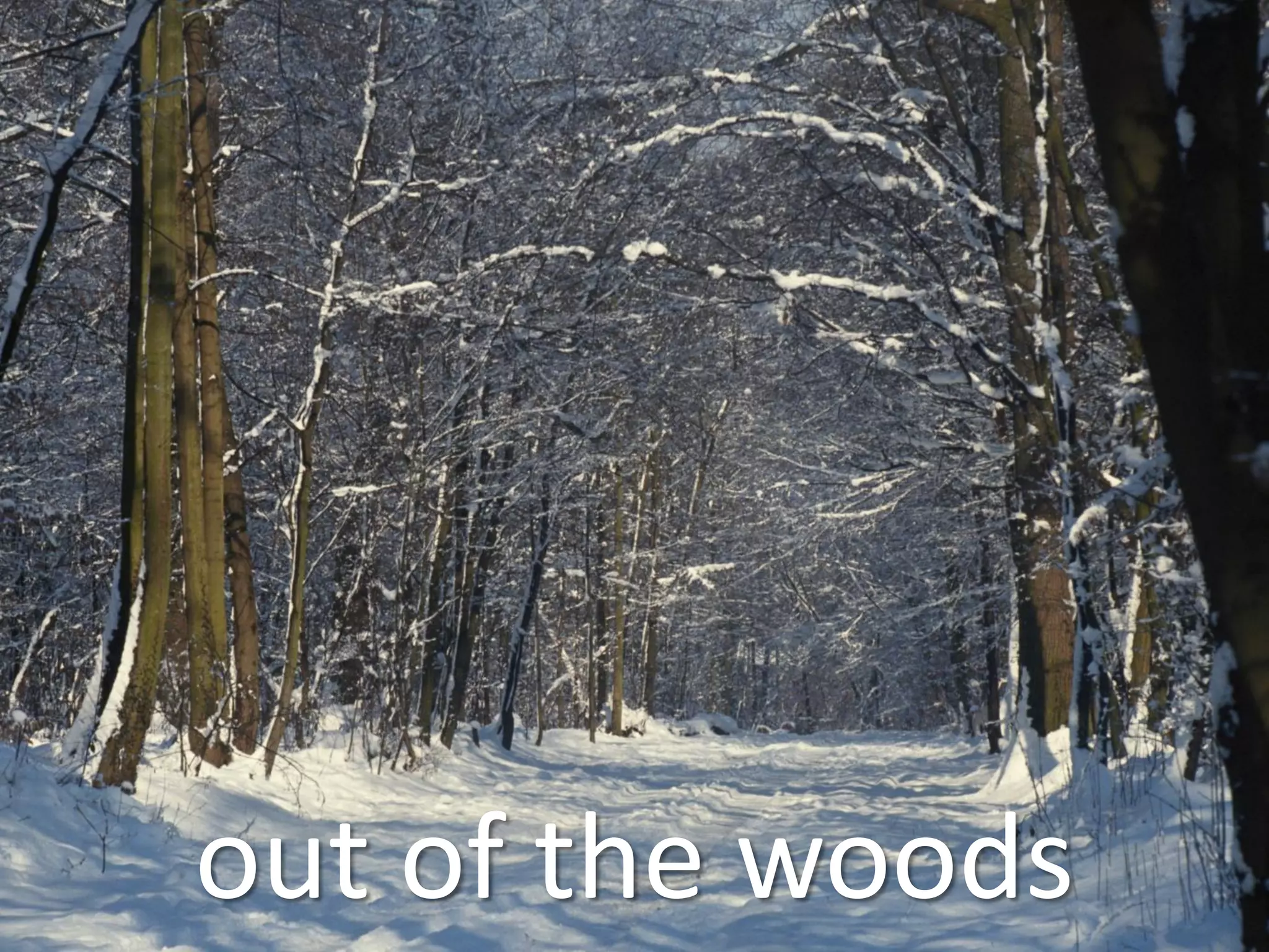 out of the woods
 