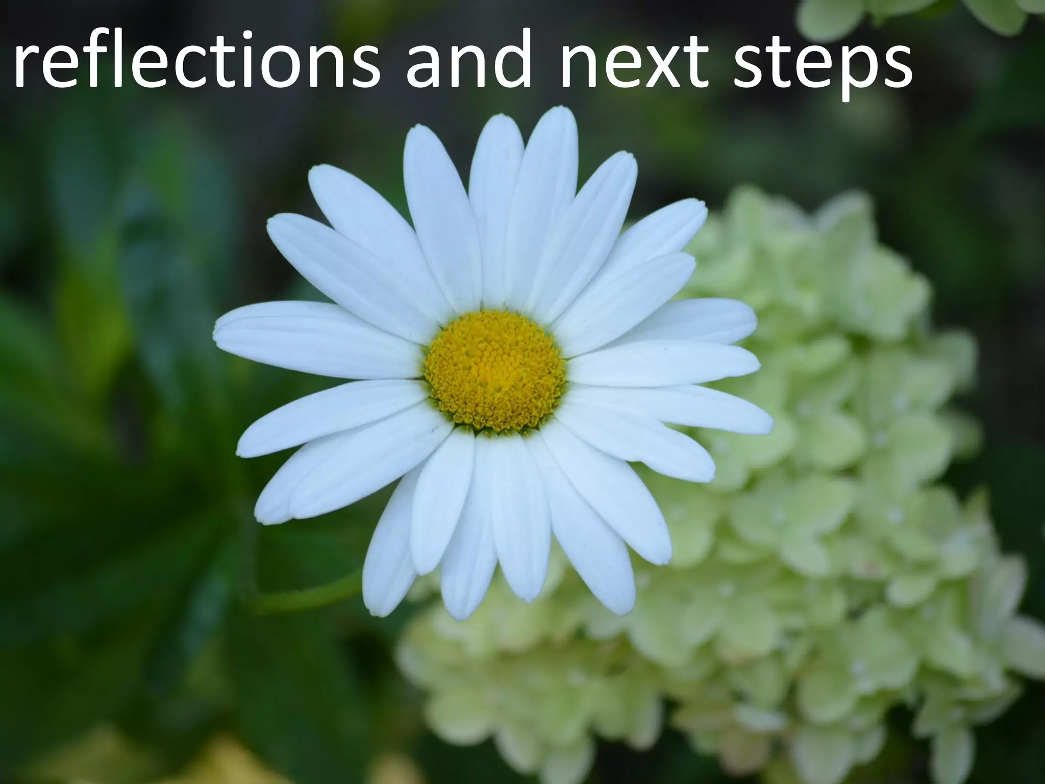 reflections and next steps
 