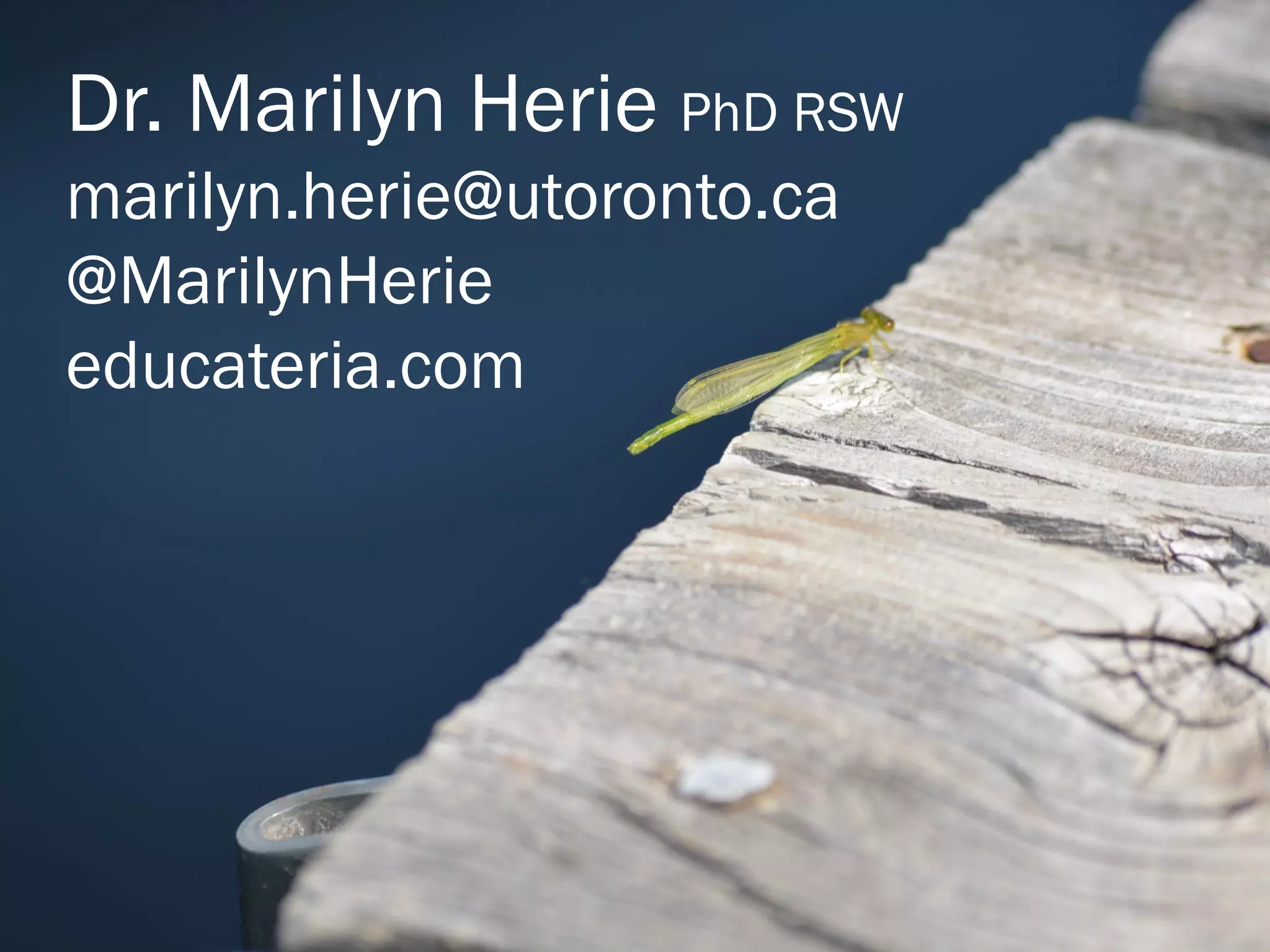 Dr. Marilyn Herie PhD RSW
marilyn.herie@utoronto.ca
@MarilynHerie
educateria.com
 