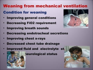 Weaning from mechanical ventilation
Condition for weaning
• Improving general conditions
• Decreasing FiO2 requirement
• Improving breath sounds
• Decreasing endotracheal secretions
• Improving chest x-rays
• Decreased chest tube drainage
• Improved fluid and electrolyte staus
• Improving neurological status
 