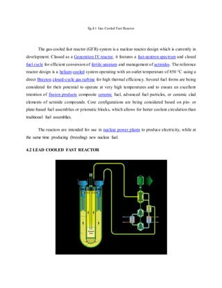 Advanced nuclear reactor in nuclear power station | DOCX