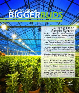 HOW TO GROW
BIGGERBUDS
                                           A Brain Dead
                                          Simple System
              •	 Plus,	GREAT	News	For	Growers	Who	Want	A	
                 Complete,	“Done	For	You”	Systematic	Solution	
                 To	Growing	And Much, MUCH MORE! .................. Page 8

              •	 The	 Japanese	 Engineering	 Breakthrough	
                 That’s	 Allowing	 Growers	 To	 Multiply	 Their	
                 Yields	Within The Same Bloom Time! ........................ Page 14

              •	 The	“Secret”	Grand	Master	Growers	Have	Used	
                 To	Win	Every	Major	Growing	Competition	In	
                 The	World! ............................................................... Page 18

              •	 Here’s	How	Grand	Master	Growers	Force	More	
                 Nutrients	 Into	 High-Profit	 Plants,	 Incredibly	
                 FAST!	 ......................................................................... Page 24

              •	 Discover	How	This	Easy	Way	Of	Boosting	Your	
                 Plant’s	Roots	Gets	You	Bigger	Harvests.. Page 34

              •	 Getting	 The	 Biggest	 Yields…                                    From Your Bloom
                   Booster ............................................................................. Page 38

              •	 Now	 You	 Can	 Greatly	 Speed	 Your	 Plant’s	
                 Growth	 Phase	 And	 Give	 Them	 The	 Extra-
                 Strength	 They	 Need	 For Maximum Size, Weight and
                   Potency When They Finally Bloom! ............................. Page 108
 