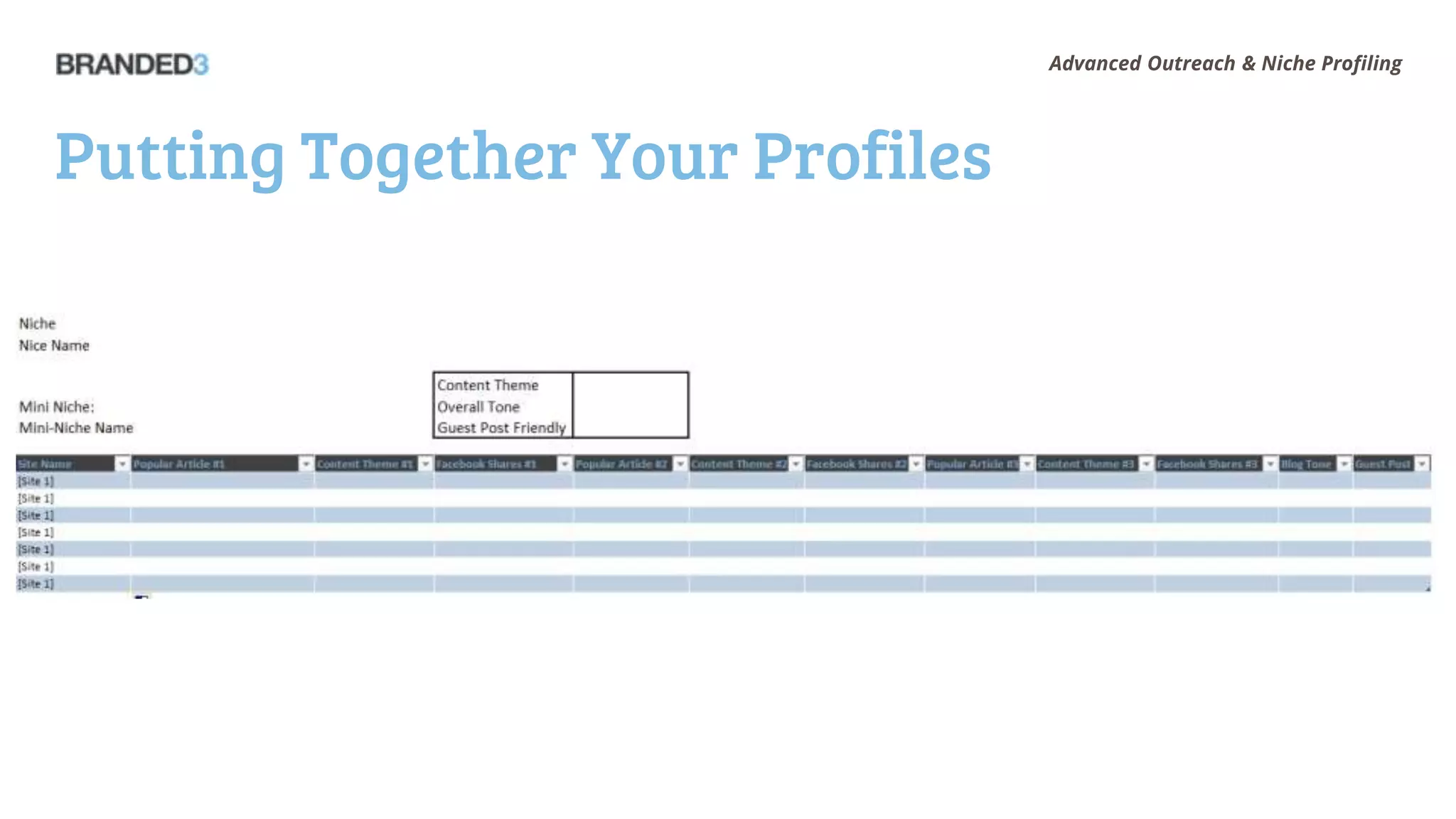 Advanced Outreach & Niche Profiling




Putting Together Your Profiles
 