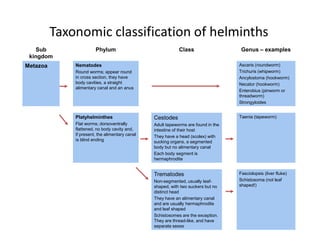 Threadworm Taxonomy Advanced Parasitology microbiology blecture | PDF
