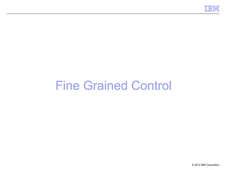 Fine Grained Control




                       © 2012 IBM Corporation
 