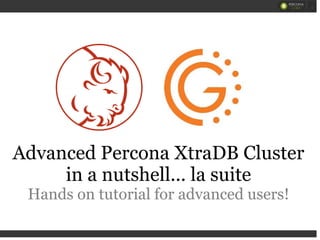 Advanced Percona XtraDB Cluster
in a nutshell... la suite
Hands on tutorial for advanced users!
 
 
1
 