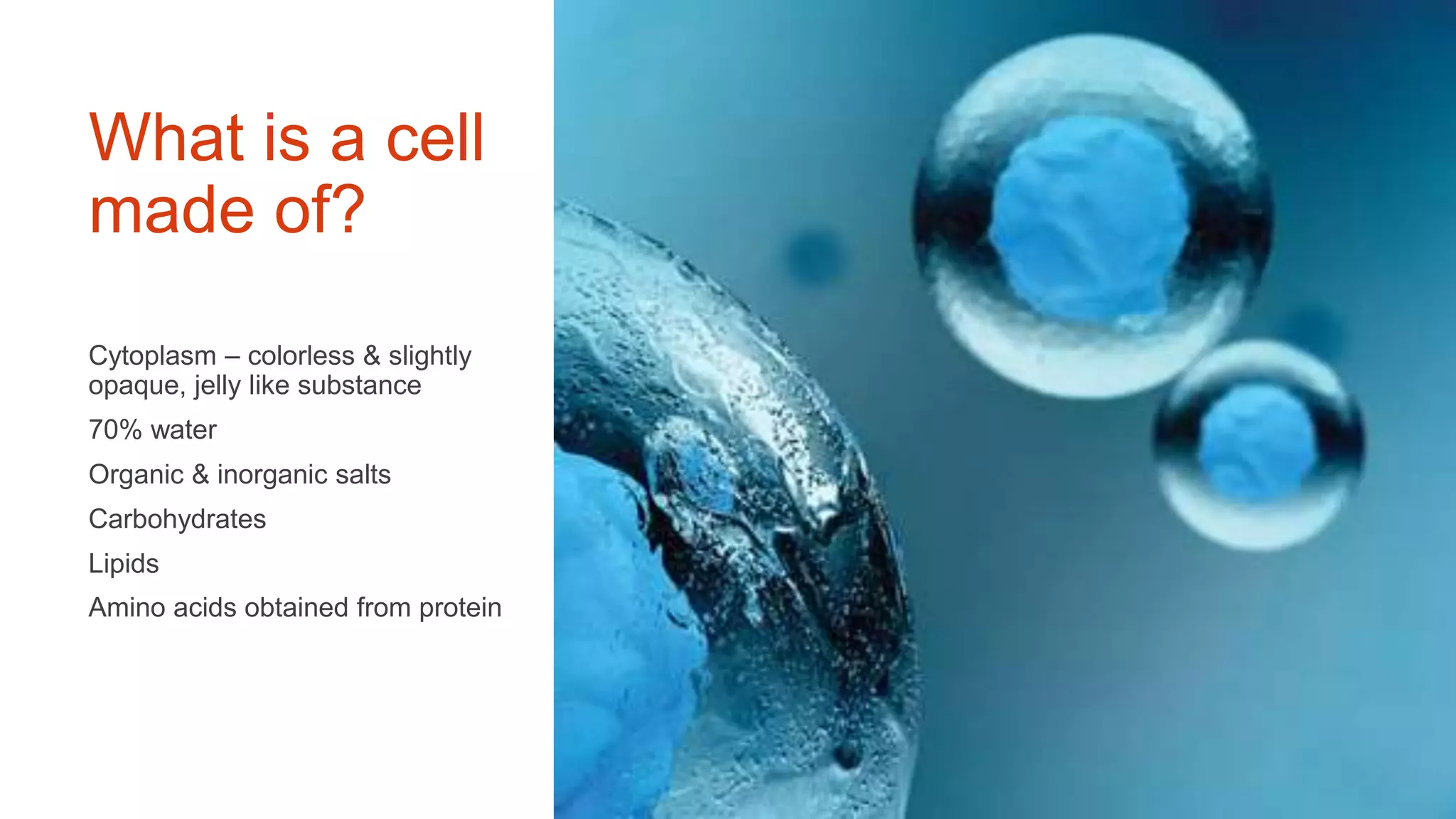 What is a cell
made of?
Cytoplasm – colorless & slightly
opaque, jelly like substance
70% water
Organic & inorganic salts
Carbohydrates
Lipids
Amino acids obtained from protein
 