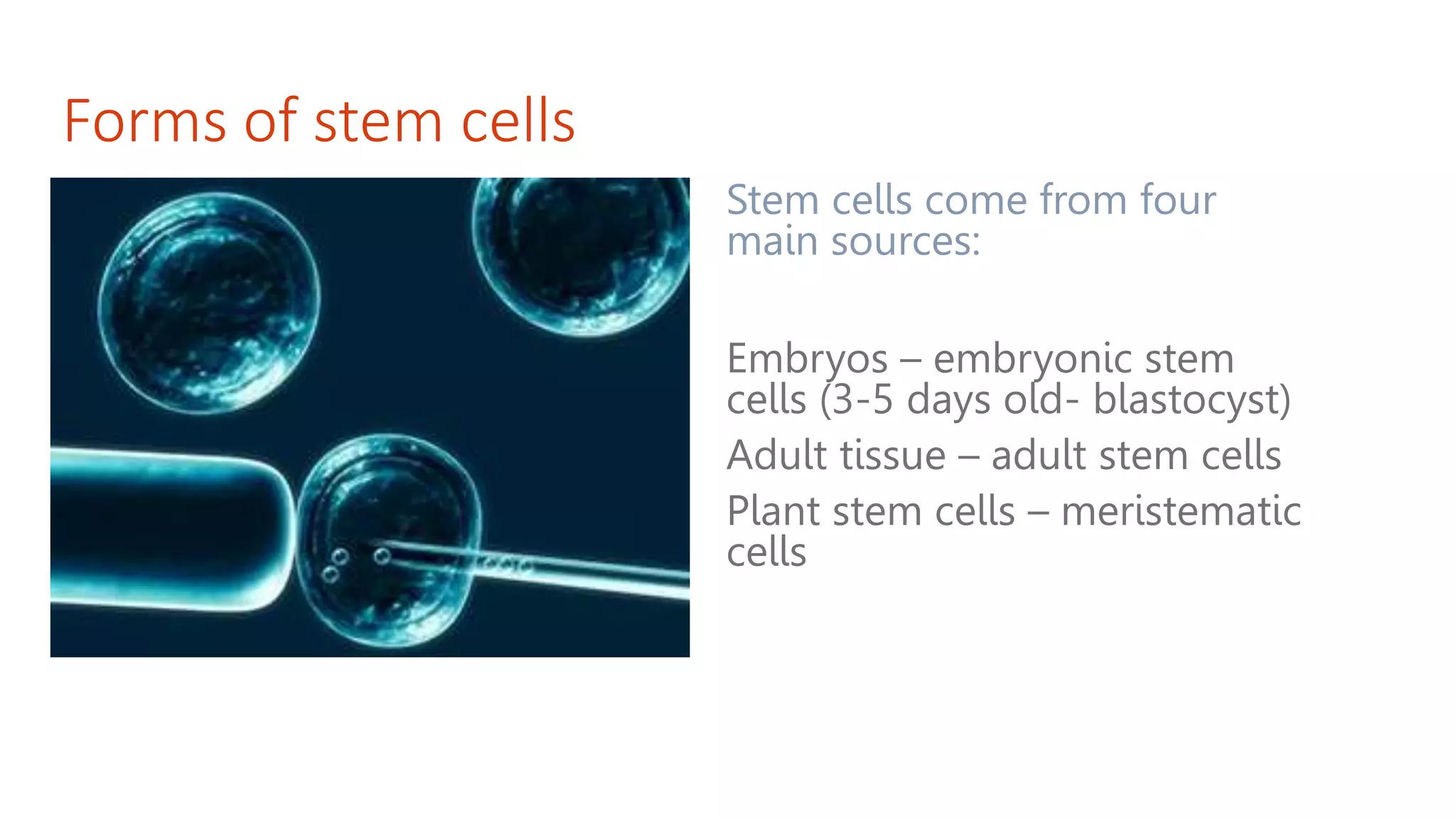 Forms of stem cells
Stem cells come from four
main sources:
Embryos – embryonic stem
cells (3-5 days old- blastocyst)
Adult tissue – adult stem cells
Plant stem cells – meristematic
cells
 