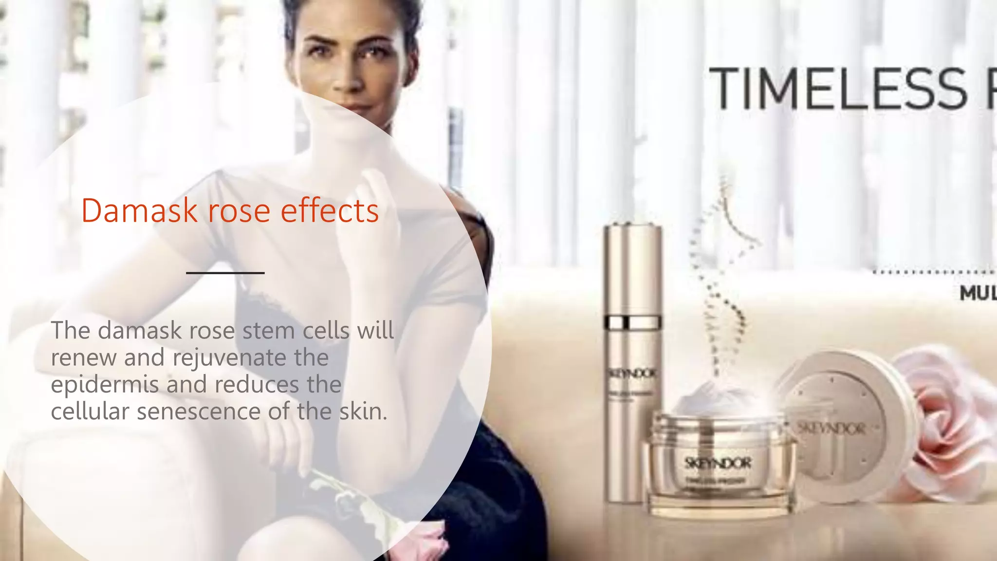 Damask rose effects
The damask rose stem cells will
renew and rejuvenate the
epidermis and reduces the
cellular senescence of the skin.
 