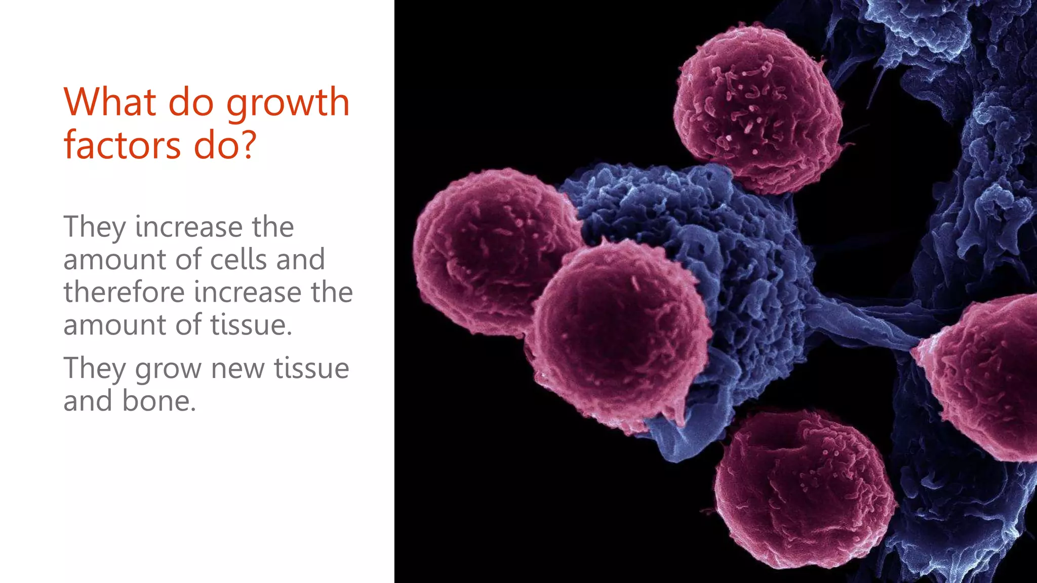 What do growth
factors do?
They increase the
amount of cells and
therefore increase the
amount of tissue.
They grow new tissue
and bone.
 