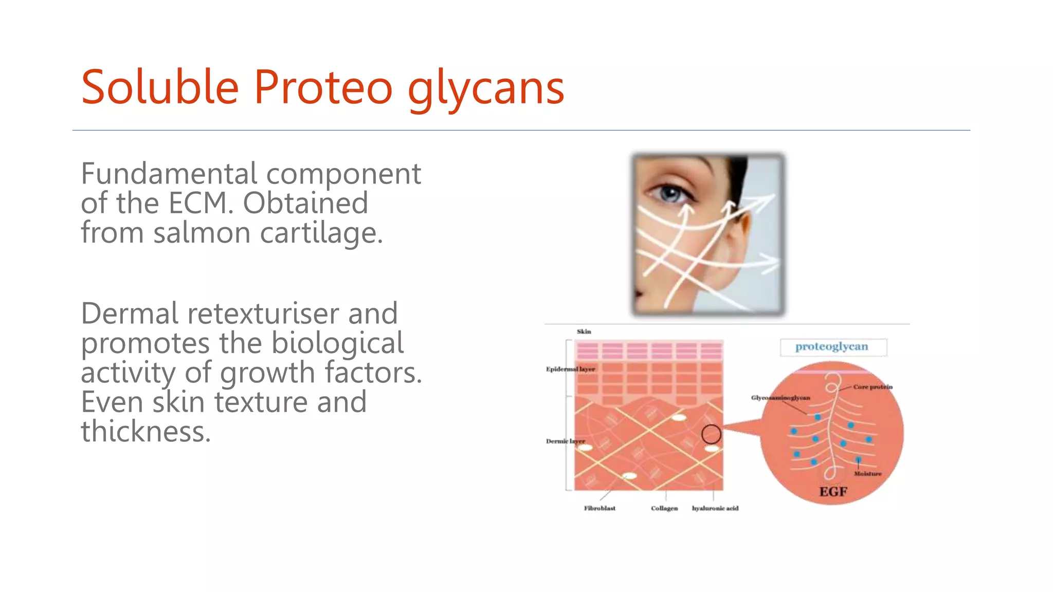 Soluble Proteo glycans
Fundamental component
of the ECM. Obtained
from salmon cartilage.
Dermal retexturiser and
promotes the biological
activity of growth factors.
Even skin texture and
thickness.
 