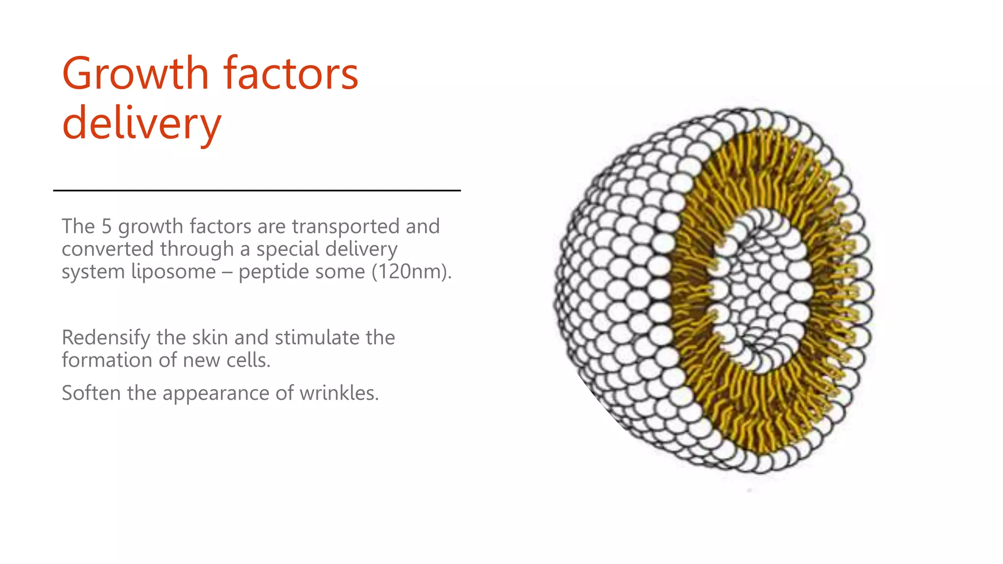Growth factors
delivery
The 5 growth factors are transported and
converted through a special delivery
system liposome – peptide some (120nm).
Redensify the skin and stimulate the
formation of new cells.
Soften the appearance of wrinkles.
 