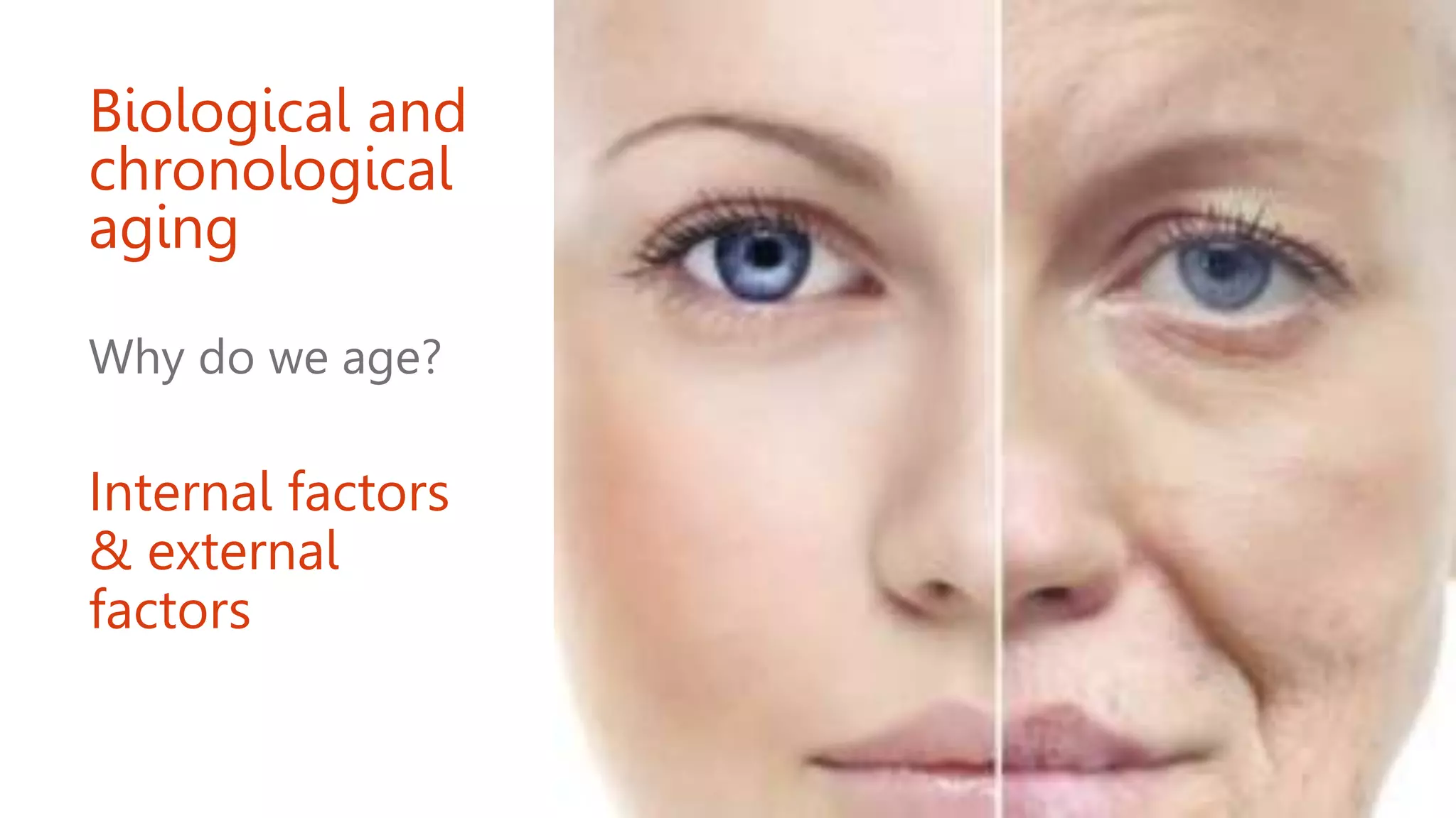 Biological and
chronological
aging
Why do we age?
Internal factors
& external
factors
 