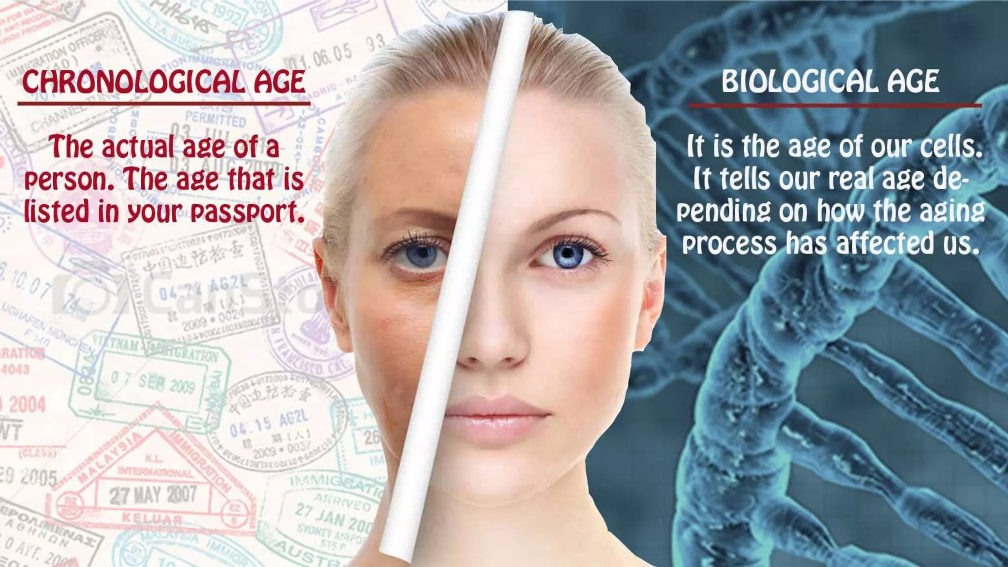 Aging
• Chronolological
 