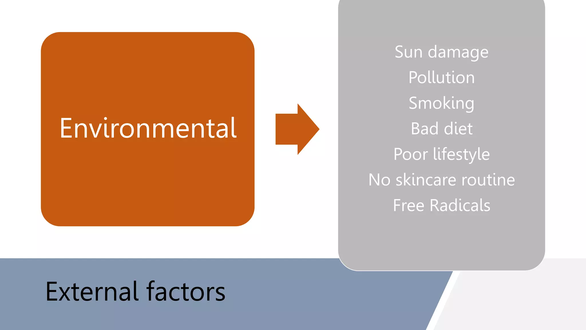 External factors
Environmental
Sun damage
Pollution
Smoking
Bad diet
Poor lifestyle
No skincare routine
Free Radicals
 
