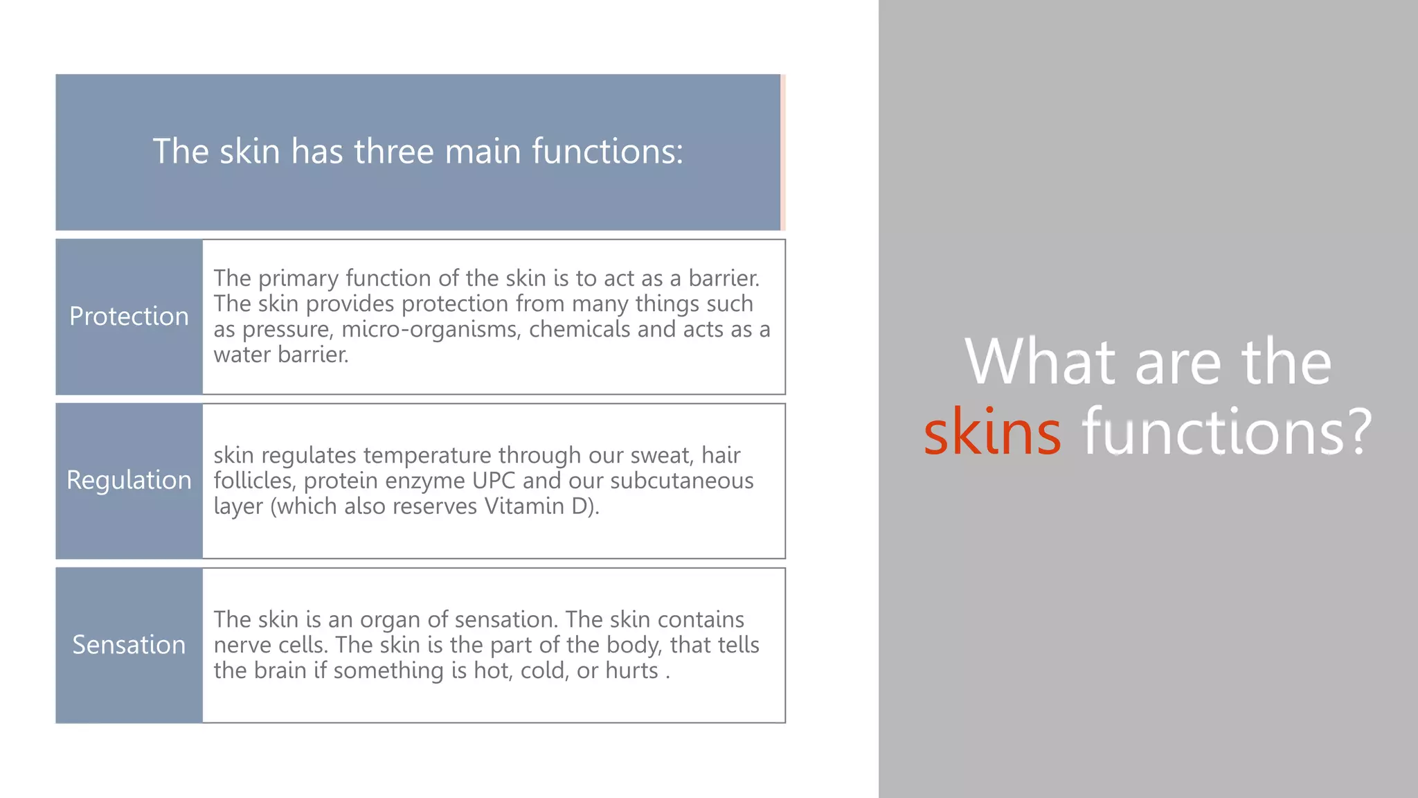 What are the
skins functions?
The skin has three main functions:
The primary function of the skin is to act as a barrier.
The skin provides protection from many things such
as pressure, micro-organisms, chemicals and acts as a
water barrier.
Protection
skin regulates temperature through our sweat, hair
follicles, protein enzyme UPC and our subcutaneous
layer (which also reserves Vitamin D).
Regulation
The skin is an organ of sensation. The skin contains
nerve cells. The skin is the part of the body, that tells
the brain if something is hot, cold, or hurts .
Sensation
 